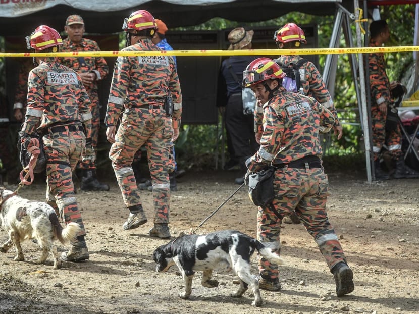 Rescue workers walk with sniffer dogs at the site of a deadly landslide as they search for survivors in Batang Kali, Selangor on Dec 17, 2022.