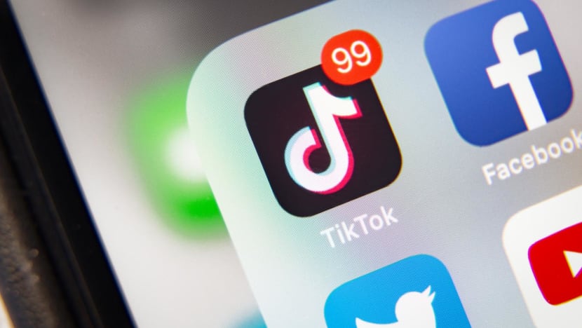Commentary: Does TikTok empower autistic people or pigeonhole them? Commentary: Does TikTok empower autistic people or pigeonhole them?