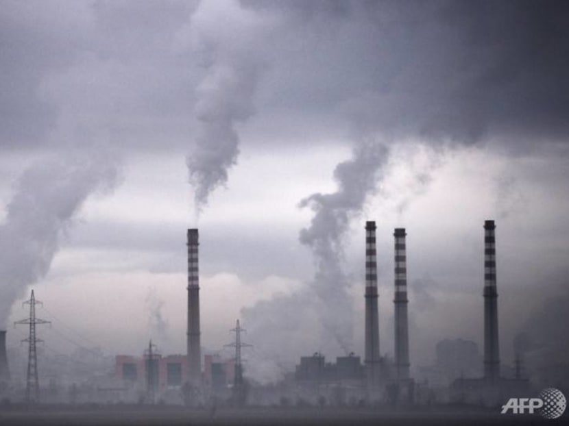 Commentary: Big sticking points in how countries can meet Paris climate pledges Commentary: Big sticking points in how countries can meet Paris climate pledges
