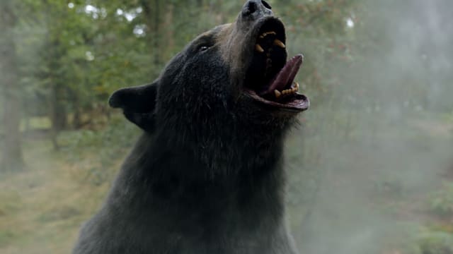 新片上映：Cocaine Bear