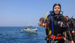Volunteer divers guard Oman's 'unique' coral reefs