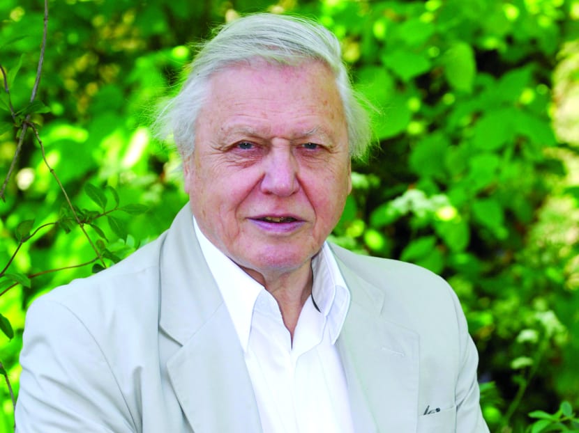 Sir David Attenborough. Photo: Bloomberg