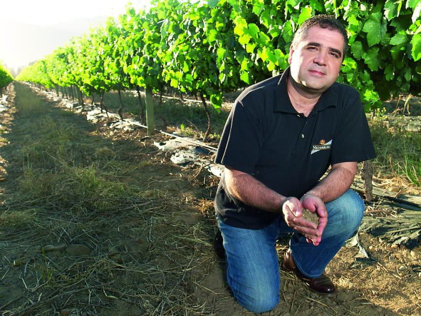 Razvan Macici knows it’s the 
soil in South Africa that makes all 
the difference 
to its wines.