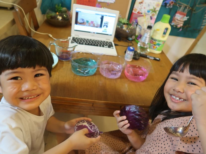 Ms Priscilla Quek’s children Reuel, 6, (left) and Anneli Teo, 8, doing a home-based experiment provided online by the Science Centre Singapore.