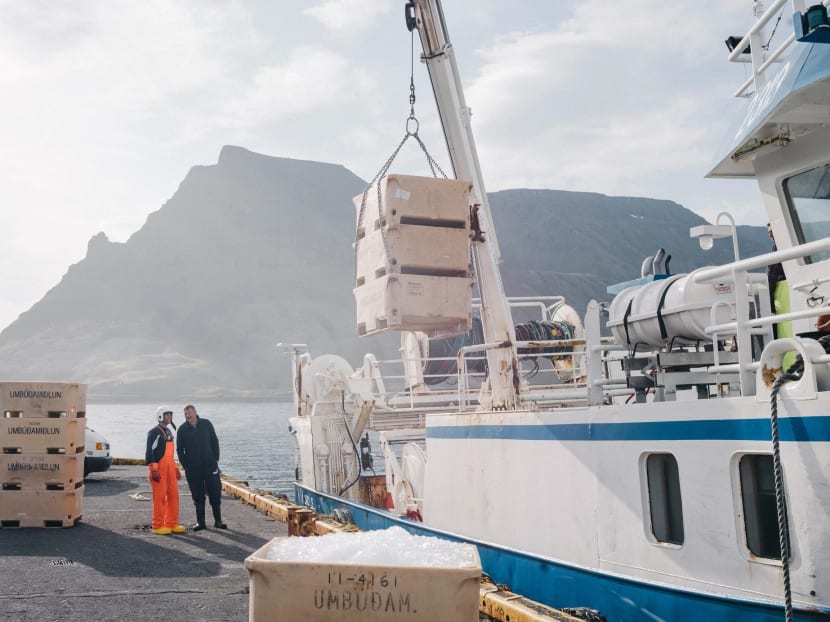 Warming waters, moving fish: How climate change is reshaping Iceland Warming waters, moving fish: How climate change is reshaping Iceland