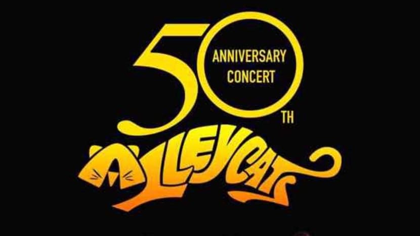 David Arumugam janjikan perbezaan bagi konsert ‘50 Tahun Bersama Alleycats’ David Arumugam janjikan perbezaan bagi konsert ‘50 Tahun Bersama Alleycats’