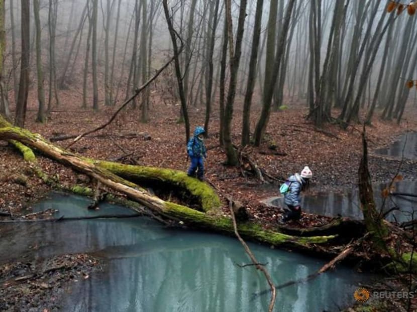 Thousands hit Hungary's famous hiking trail to beat coronavirus blues Thousands hit Hungary's famous hiking trail to beat coronavirus blues
