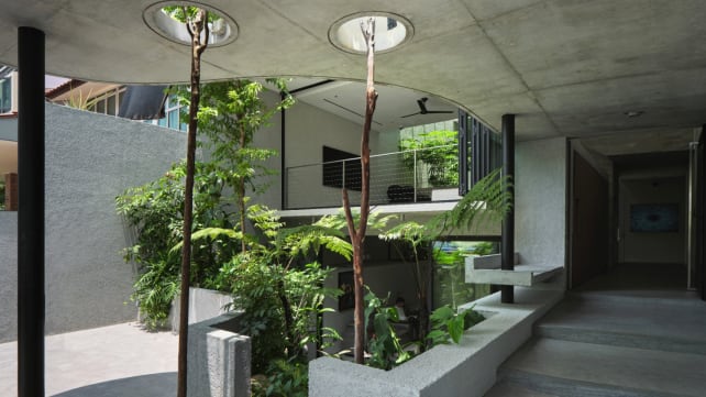 The Raumplan House: An intermediate terrace house in Singapore filled with light and greenery