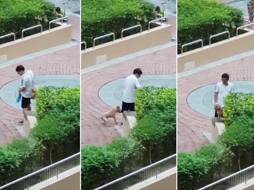 Chen Xin, 38, caught on video abusing his pet. He told the court that it was his first time owning a pet and he did not know how to train a dog.