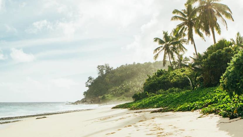 Commentary: Half of the world’s sandy beaches could disappear in 80 years Commentary: Half of the world’s sandy beaches could disappear in 80 years