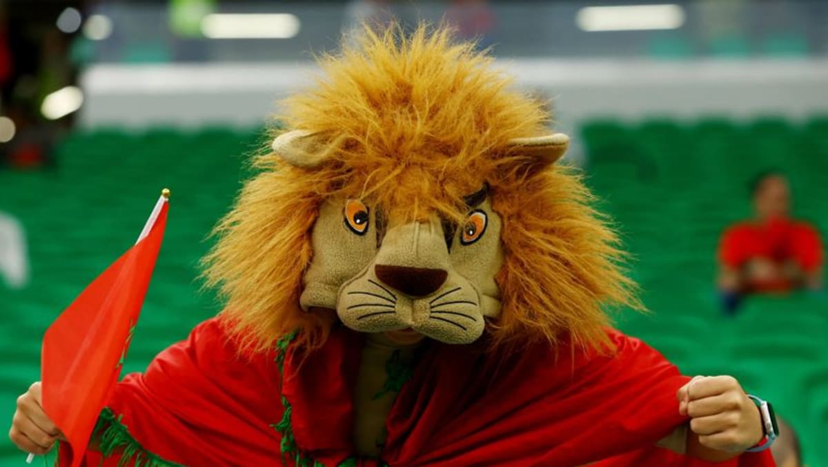 Penggemar Maroko siap untuk perempat final dengan dukungan dari Afrika dan dunia Arab
