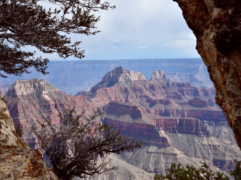 A view from the North Rim of the Grand Canyon on May 18, 2015.  Photo: AFP