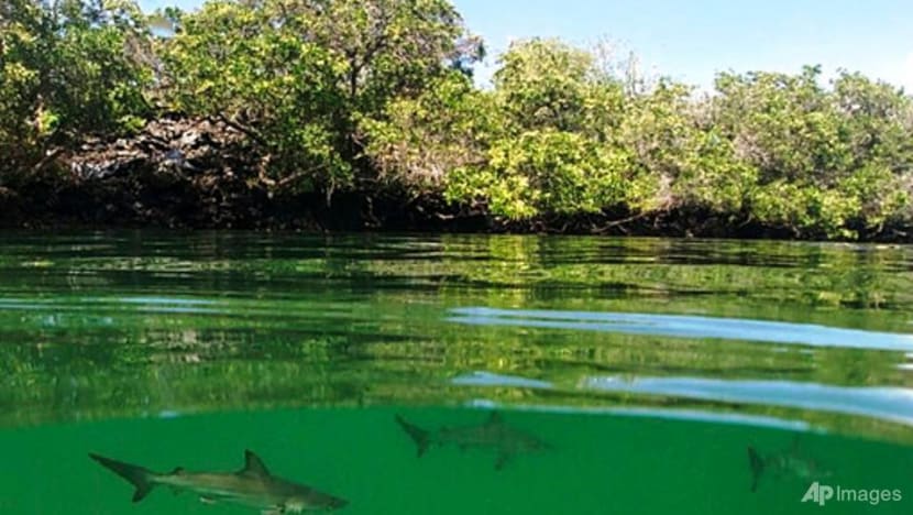 Protected areas cover a sixth of Earth's land and freshwater Protected areas cover a sixth of Earth's land and freshwater