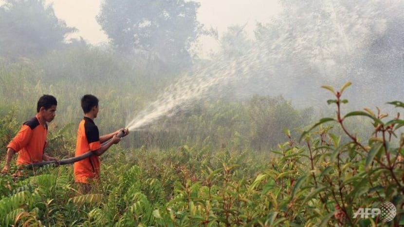 Indonesia semakin tertekan kawal kebakaran hutan di Kalimantan, Sumatera Indonesia semakin tertekan kawal kebakaran hutan di Kalimantan, Sumatera