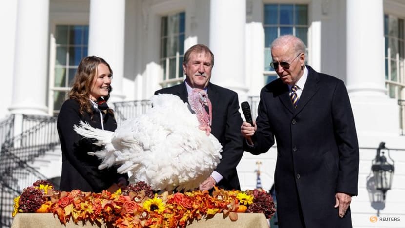 In Thanksgiving tradition, Biden pardons two chatty turkeys