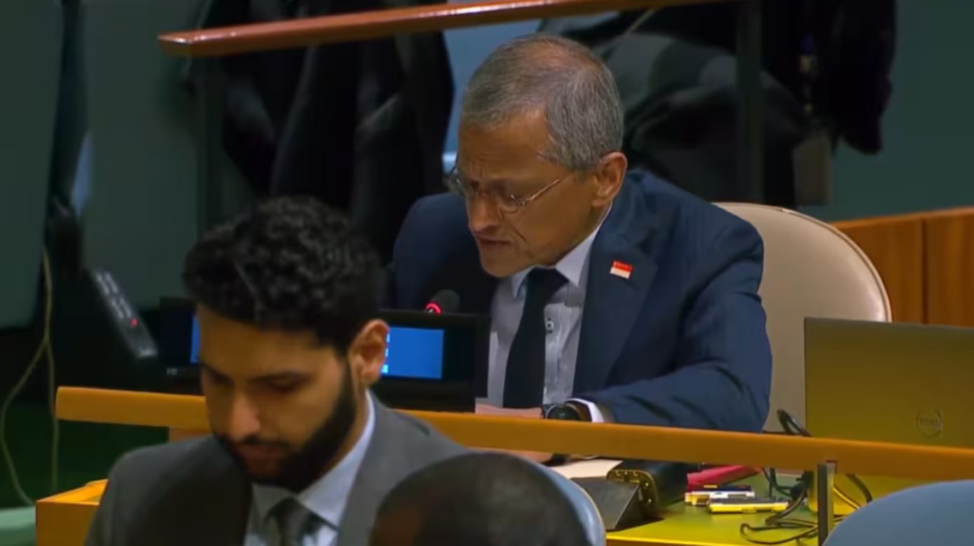 我国在联合国大会上投票赞成巴勒斯坦加入联合国