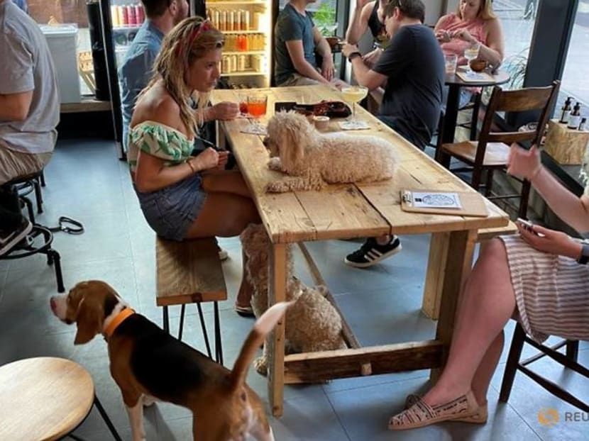 A Bloodhound Mary please bartender, and one for my dog A Bloodhound Mary please bartender, and one for my dog