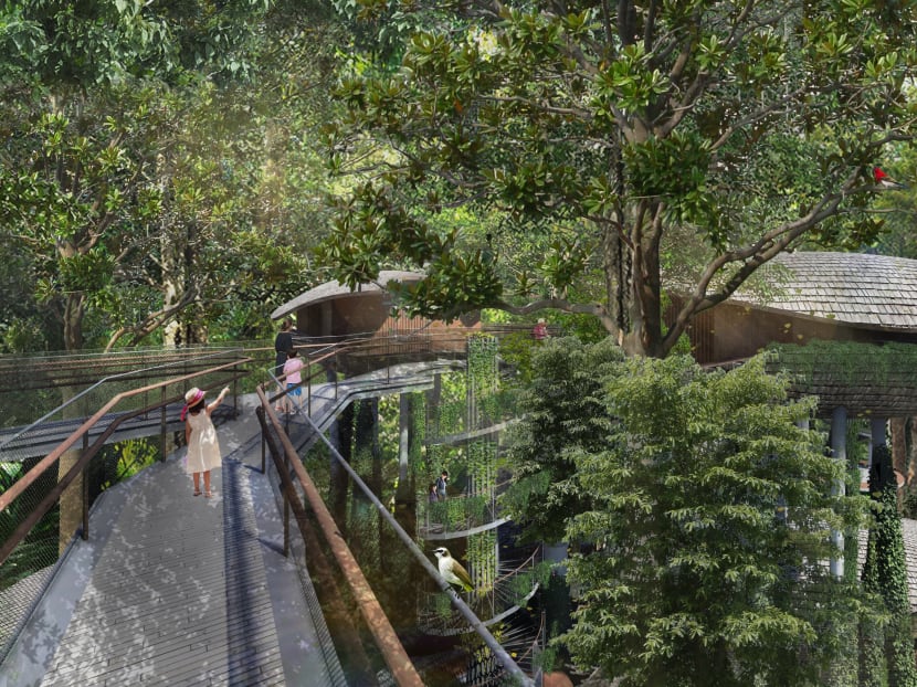 An illustration of one of the elevated walkway and treehouses that will be part of the eco-friendly resort to be built at Singapore Zoo