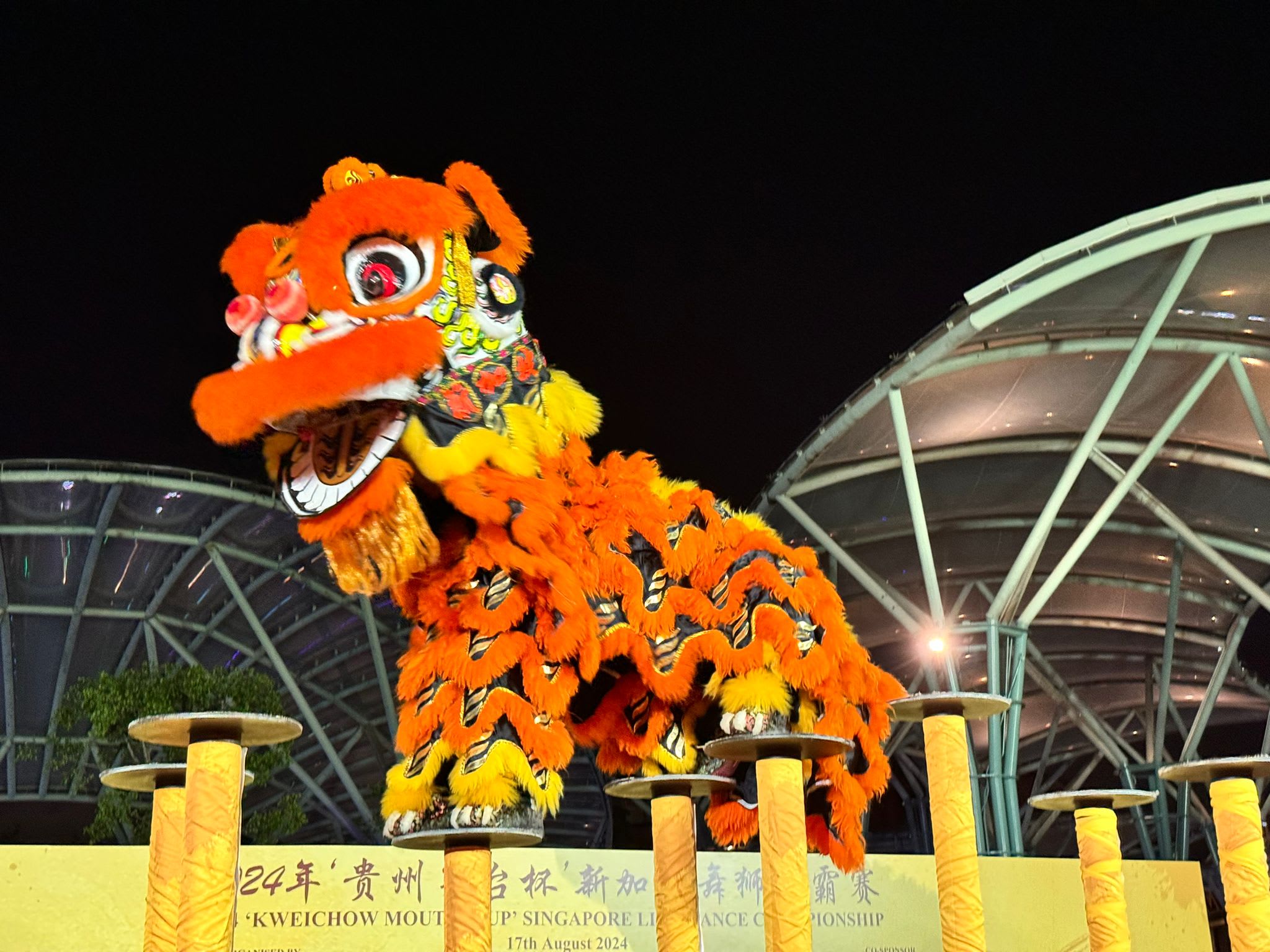 茅台首次举办舞狮争霸赛 女子舞狮团受邀开场 - 8world
