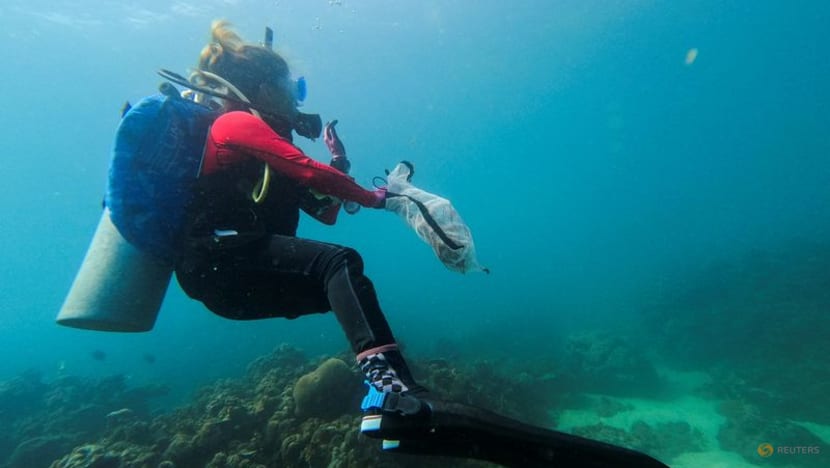 Philippine divers clear plastic waste from corals for World Cleanup Day Philippine divers clear plastic waste from corals for World Cleanup Day