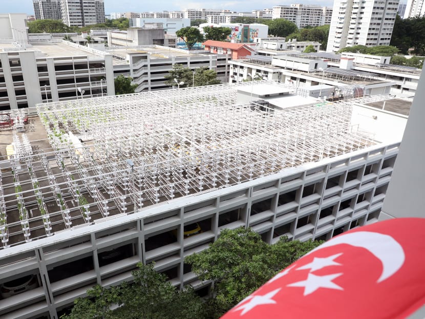 Citiponics' urban vertical farm on the rooftop of a multi-storey car park at Block 700, Ang Mo Kio Avenue 6. More of such rooftop farming space will be made available for public tender.