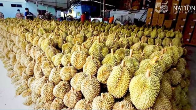 越南榴梿“假冒”泰国榴梿出口中国 泰水果商被捕