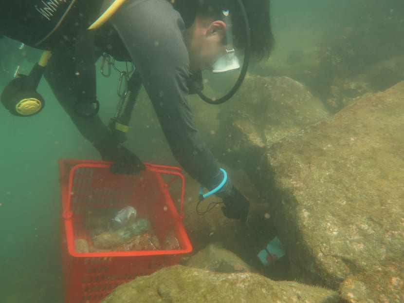 A diver retrieves a can while cleaning up the waters of Lazarus Island of marine debris.