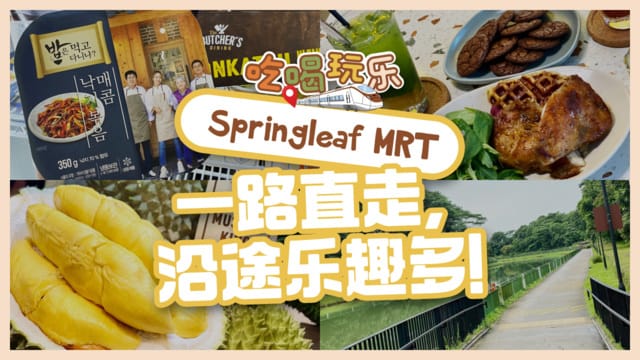 【吃喝玩乐Springleaf MRT】一路直走，沿途乐趣多！