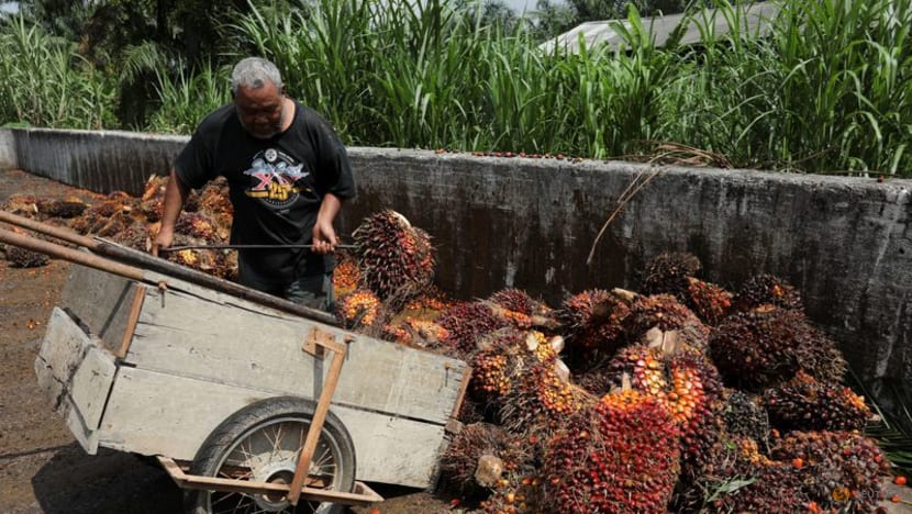 Palm oil dispute won't have bearing on Indonesia, Malaysia EU trade talks, minister says
