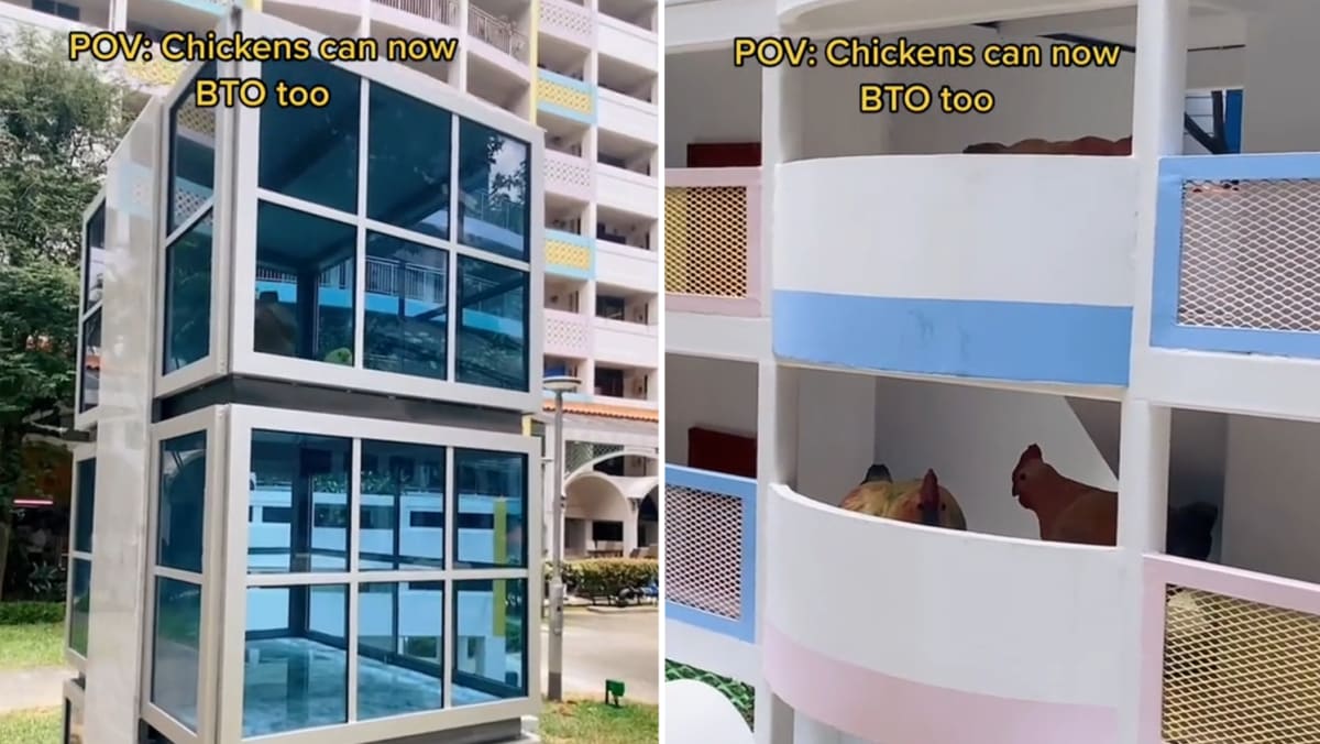 #trending: Netizens abuzz over 'BTO flats for chickens' at Tanjong Pagar housing estate