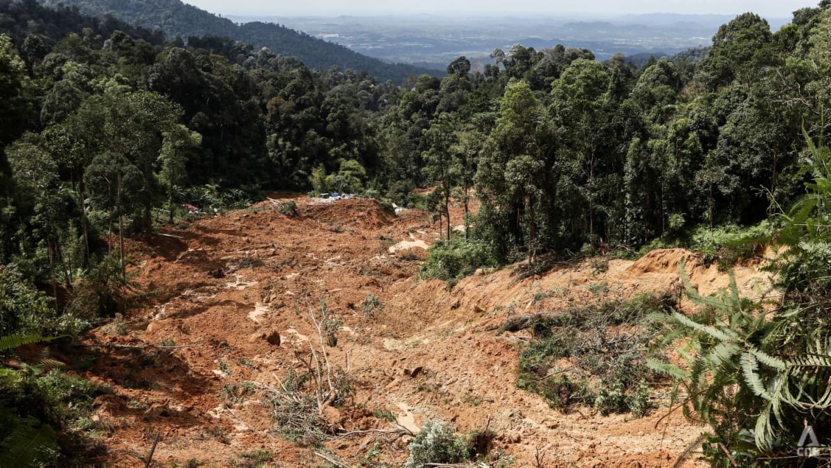 A year after 31 died in landslide near Genting Highlands, wounds remain raw and questions unanswered