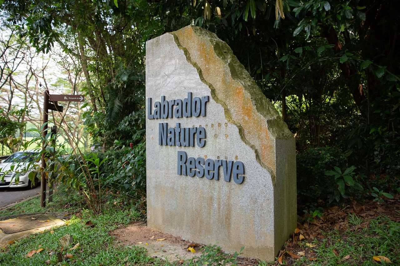 Labrador Nature Reserve is part of the Labrador Nature Park Network.