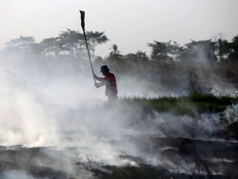 A fireman battles a peatland fire on a field in Simpang Pelabuhan Dalam, South Sumatra, Indonesia, Tuesday, July 28, 2015. Photo: AP