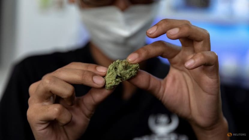 Cannabis use has risen with legalisation and COVID-19 lockdowns: UN report Cannabis use has risen with legalisation and COVID-19 lockdowns: UN report