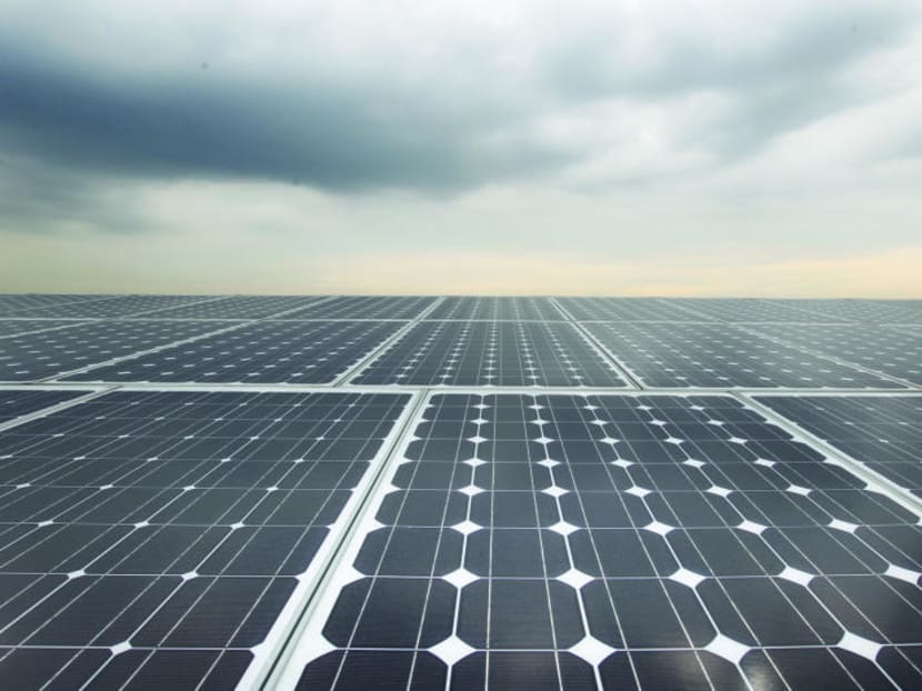Solar panels at Treelodge@Punggol. Every sector in Singapore will need to put in significant effort to limit emissions, said Senior Minister Teo Chee Hean. Solar panels at Treelodge@Punggol. Every sector in Singapore will need to put in significant effort to limit emissions, said Senior Minister Teo Chee Hean.