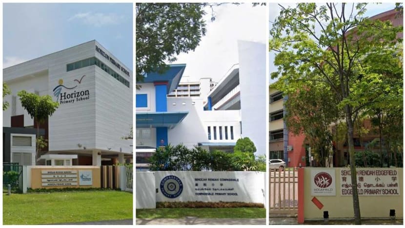 3 primary schools in Punggol start tapping on solar power as part of carbon-neutral push