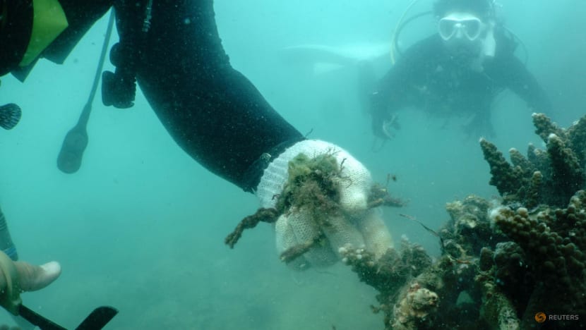 Thai divers seek to take on 'ghost gear' threatening marine life - CNA