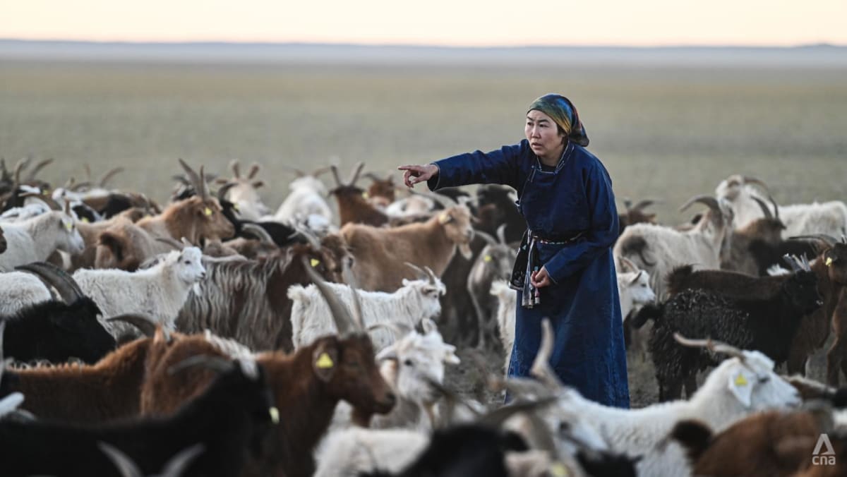 in-the-deep-cold-gobi-desert-mongolia-s-nomadic-herders-cannot-outrun-climate-change