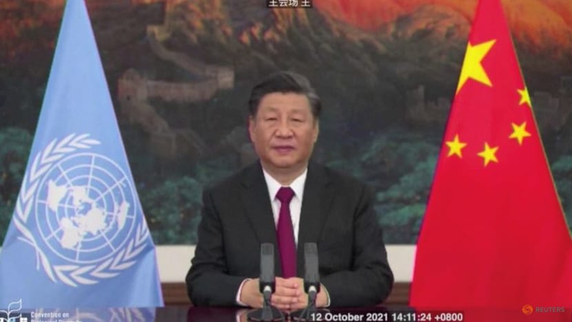 China's Xi will not attend COP26 in person, UK PM Johnson told: Report China's Xi will not attend COP26 in person, UK PM Johnson told: Report