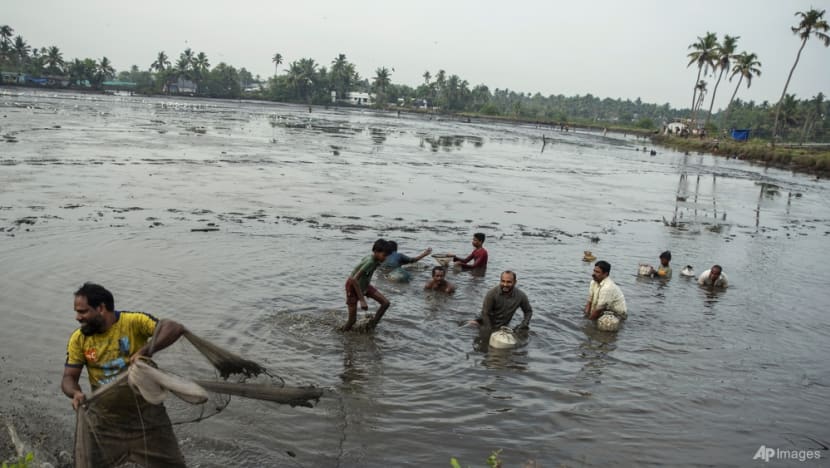 Commentary: India's food security is being choked by climate change Commentary: India's food security is being choked by climate change
