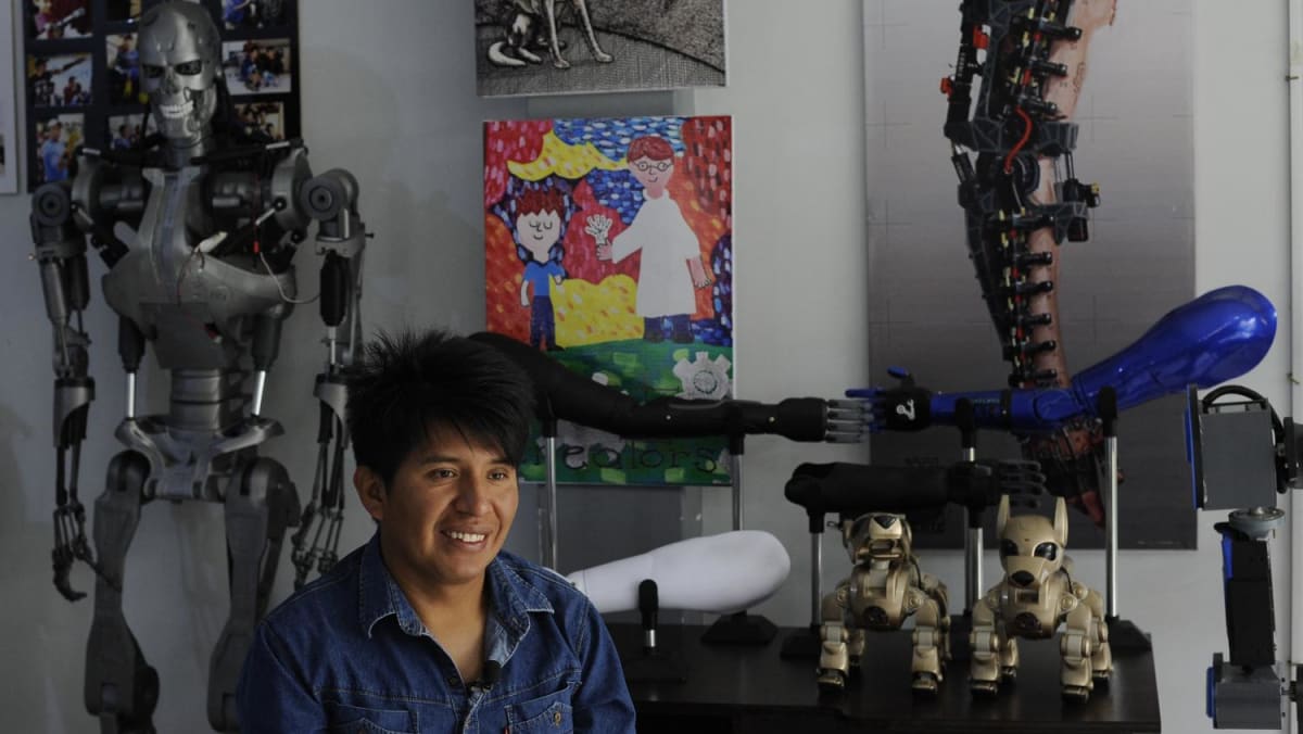 Bolivian toymaker restores limbs, dignity with 3D-printing - Vimarsana News