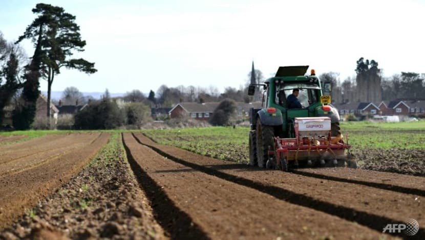 EU tries again to strike deal on greener farming subsidies EU tries again to strike deal on greener farming subsidies