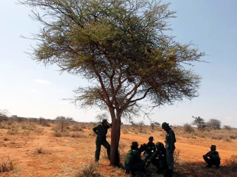 Kenyan all-female conservation ranger unit patrols amid COVID-19 Kenyan all-female conservation ranger unit patrols amid COVID-19