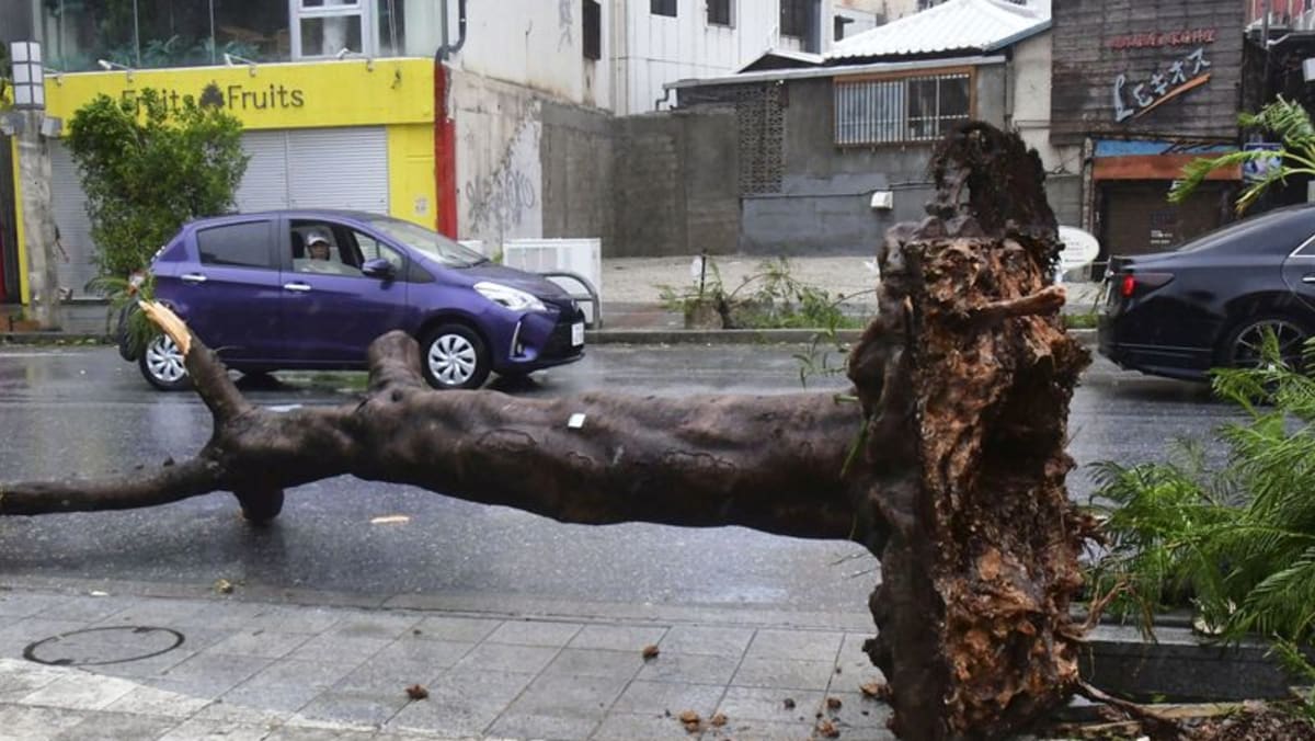 Typhoon Khanun cuts power to 166,000 homes in Japan, shuts businesses in Taiwan