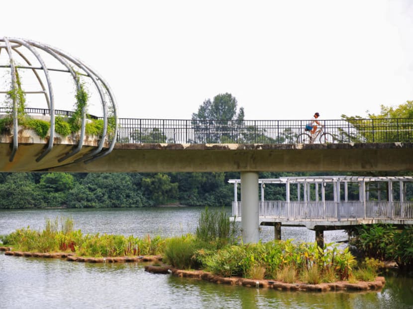 Biophilic design key to making Singapore a city in a garden Biophilic design key to making Singapore a city in a garden