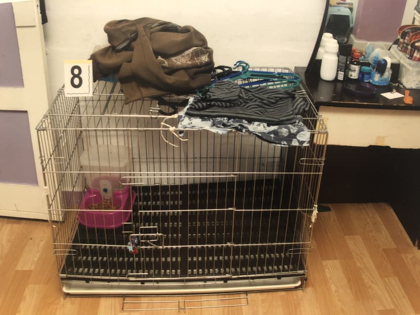 Azlin Arujunah and her husband Ridzuan Mega Abdul Rahman, both now 27, had confined their five-year-old son in their pet cat’s metal cage.