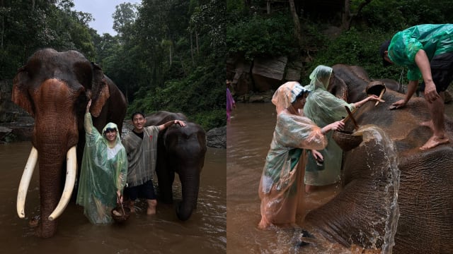 受泰国旅游局之邀游苏梅岛、清迈　孙政、何盈莹当大象“守护者”