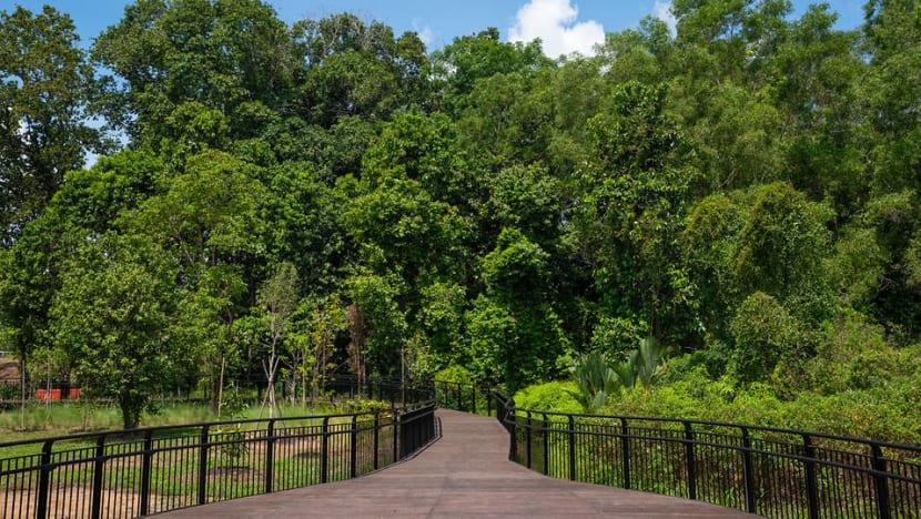 Singapore to plant 170,000 more trees in industrial estates over the next 10 years Singapore to plant 170,000 more trees in industrial estates over the next 10 years
