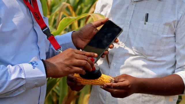 Space data fuels India's farming innovation drive