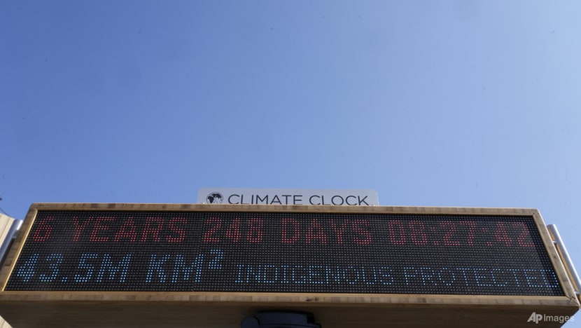 Companies not doing enough to protect nature, environmental non-profit says Companies not doing enough to protect nature, environmental non-profit says